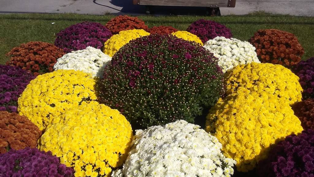 Dominos Pizza | meal delivery | 206 Clifty Dr, Madison, IN 47250, USA | 8122733030 OR +1 812-273-3030