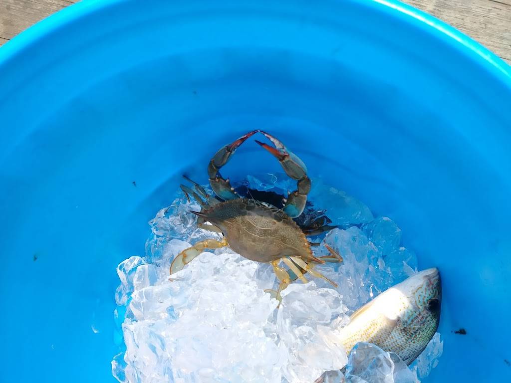 Ocean View Fishing Pier Restaurant | restaurant | 400 W Ocean View Ave, Norfolk, VA 23503, USA | 7575836000 OR +1 757-583-6000