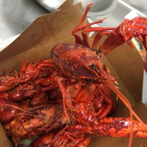 The Crab Stop | restaurant | 1405 Sulphur Spring Rd, Arbutus, MD 21227, USA | 4102421394 OR +1 410-242-1394