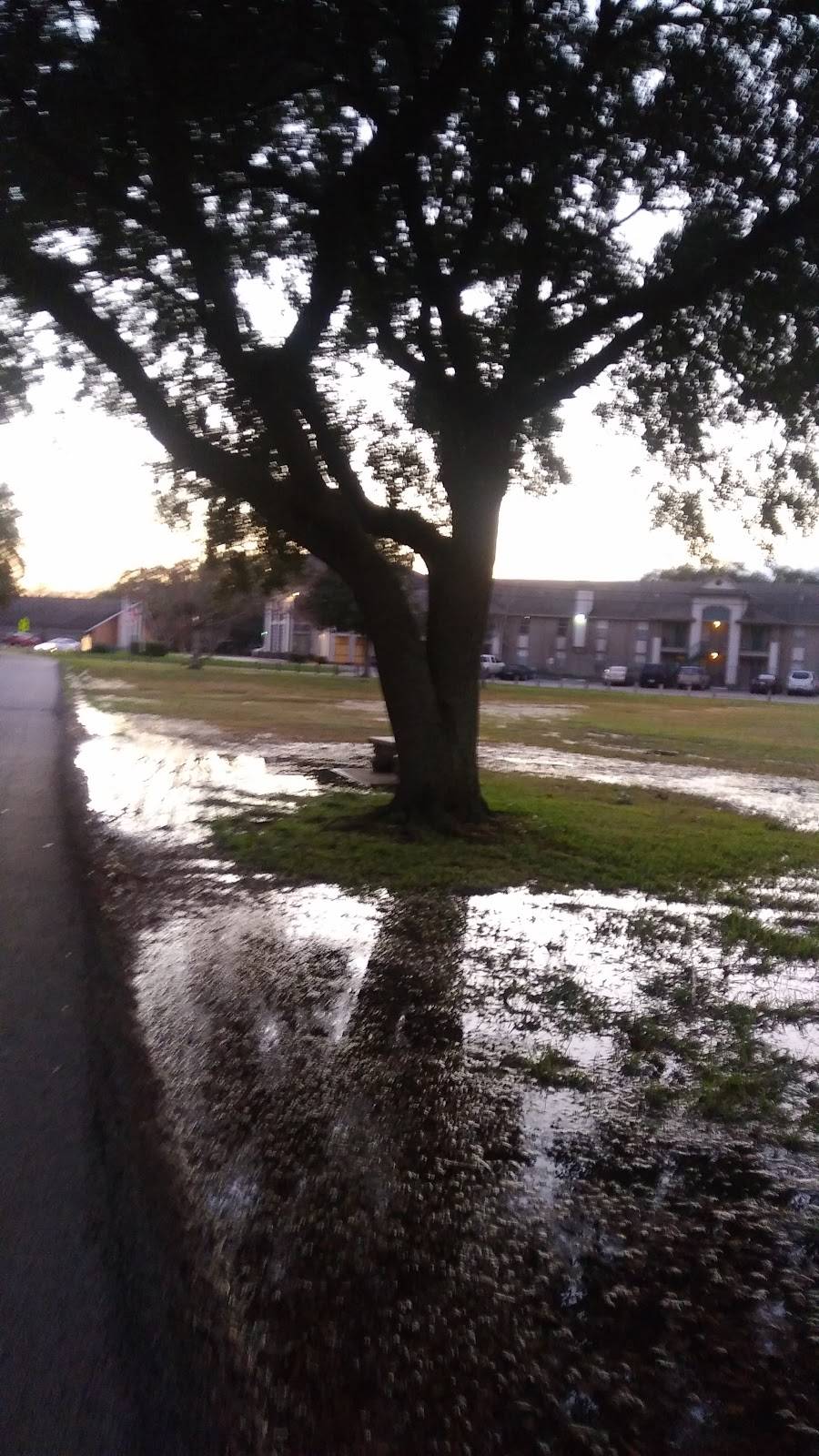 El Piquin Del Monte-Rey | restaurant | 8901 Howard Dr, Houston, TX 77017, USA | 8324287485 OR +1 832-428-7485