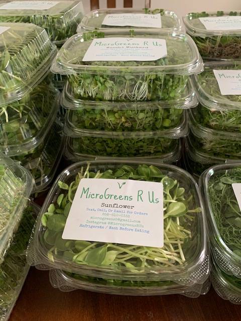 Microgreens R Us | restaurant | 4871 Conrad Ave, San Diego, CA 92117, USA | 8586100333 OR +1 858-610-0333
