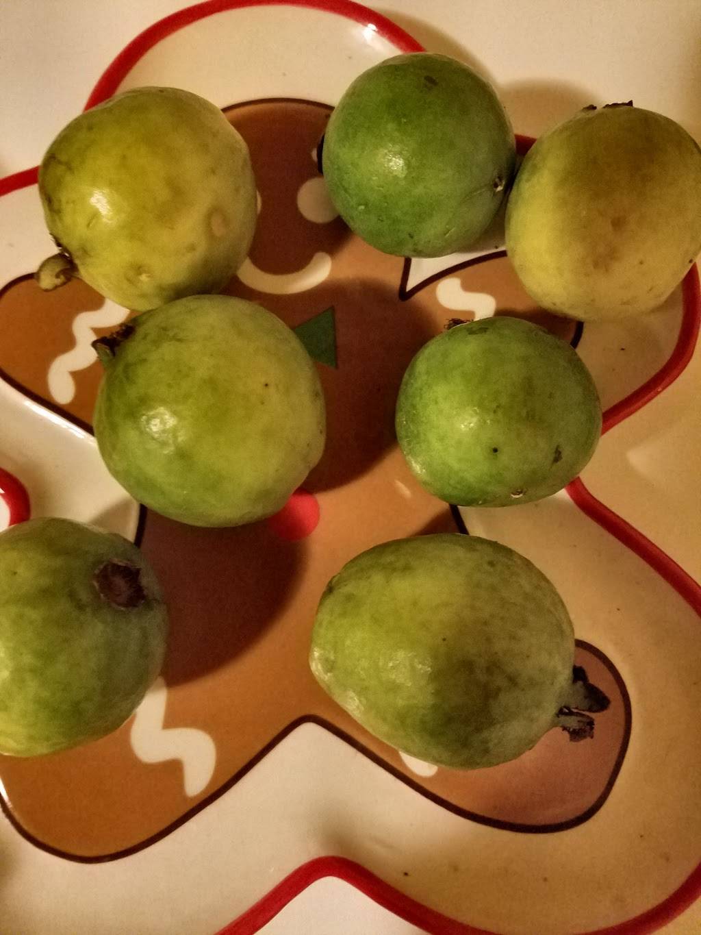 Mini Garden Café & Restaurant | restaurant | 6915 Foothill Blvd, Tujunga, CA 91042, USA | 8183531555 OR +1 818-353-1555