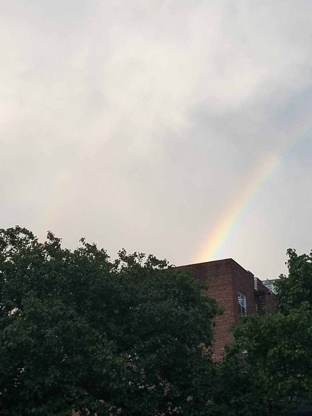 Moon Star Grill | restaurant | 3519-25 Johnson Ave, Bronx, NY 10463, USA | 7184322570 OR +1 718-432-2570