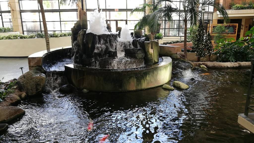 Omaha Steakhouse & Lounge | restaurant | 2630 E Camelback Rd, Phoenix, AZ 85016, USA | 6025538970 OR +1 602-553-8970