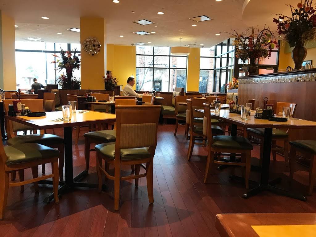 Eggsperience Breakfast & Lunch - Park Ridge | bakery | 90 N Northwest Hwy, Park Ridge, IL 60068, USA | 8479393976 OR +1 847-939-3976