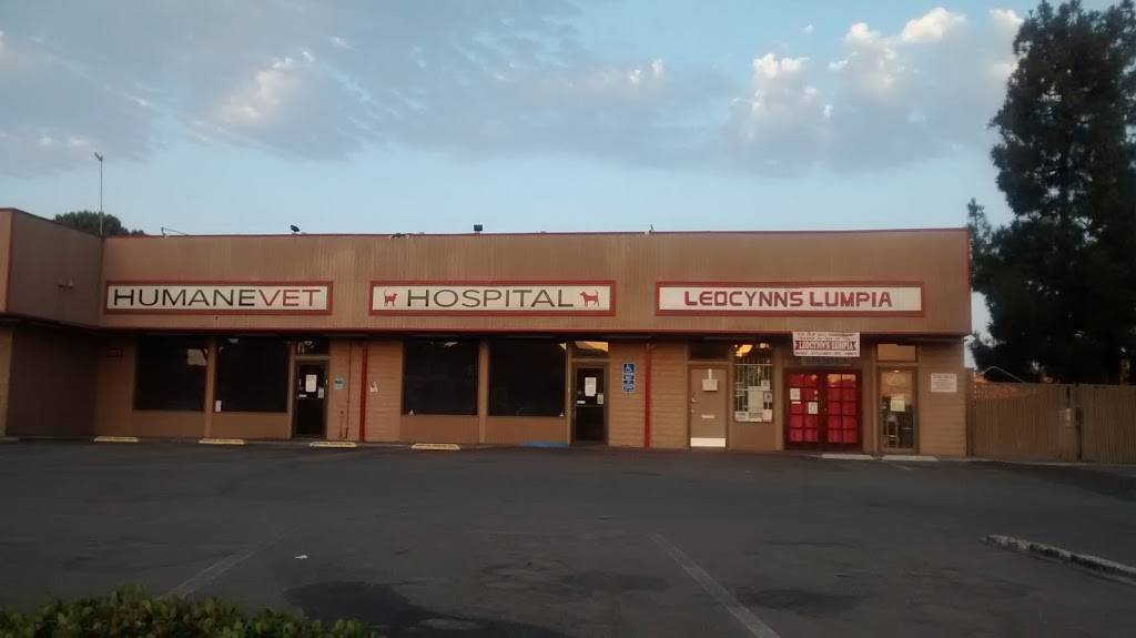 Leocynns Lumpia | restaurant | 8360 Paradise Valley Rd, Spring Valley, CA 91977, USA | 6192678210 OR +1 619-267-8210