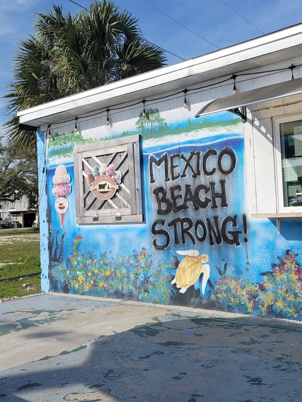 Crazy Beach Pizza, LLC | restaurant | 2902 US-98, Mexico Beach, FL 32456, USA | 8506484600 OR +1 850-648-4600