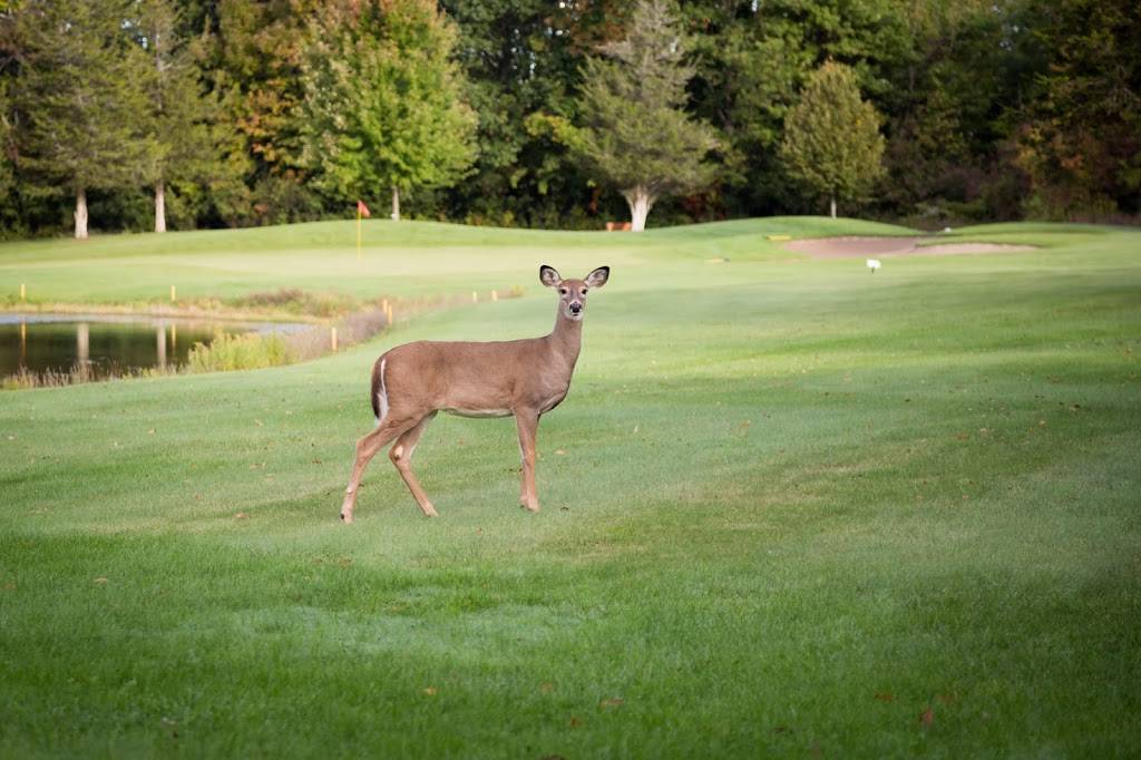 Garrison Golf & Curling Club | restaurant | 12 Red Patch Ave, Kingston, ON K7K 7B4, Canada | 6135464952 OR +1 613-546-4952