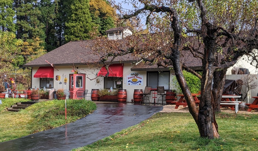 Bodhaines at Drew Bean Farms | bakery | 2315 Cable Rd, Camino, CA 95709, USA | 5306441686 OR +1 530-644-1686