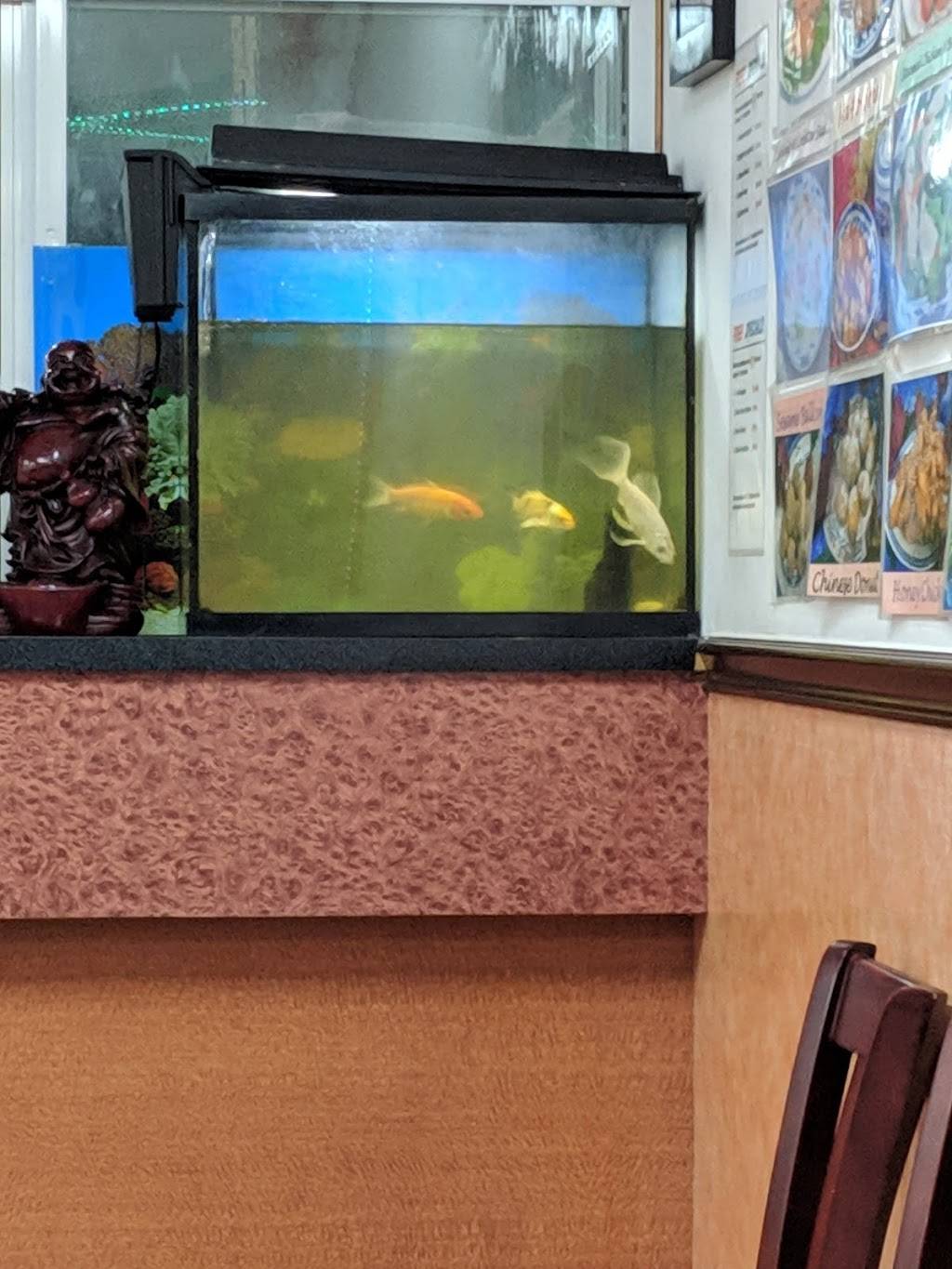 China 1 | restaurant | 33389 US-19, Palm Harbor, FL 34684, USA | 7277728881 OR +1 727-772-8881