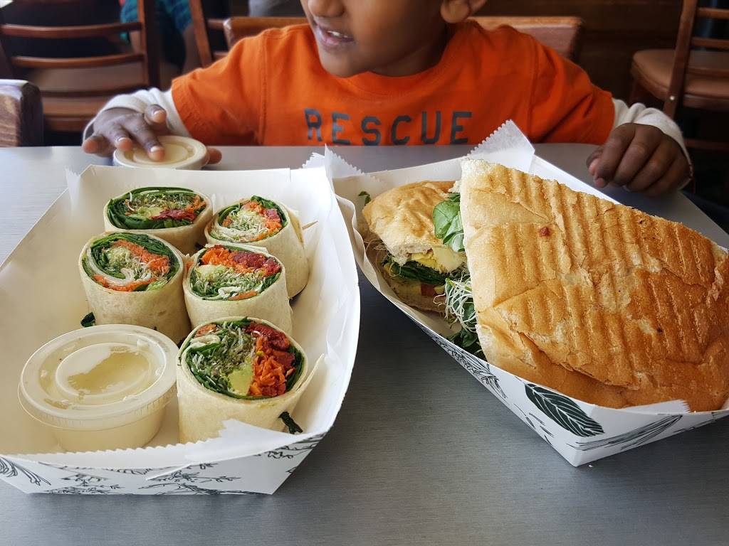 Original Big Tomato | meal delivery | 12447 S Dixie Hwy, Miami, FL 33156, USA | 3052333344 OR +1 305-233-3344