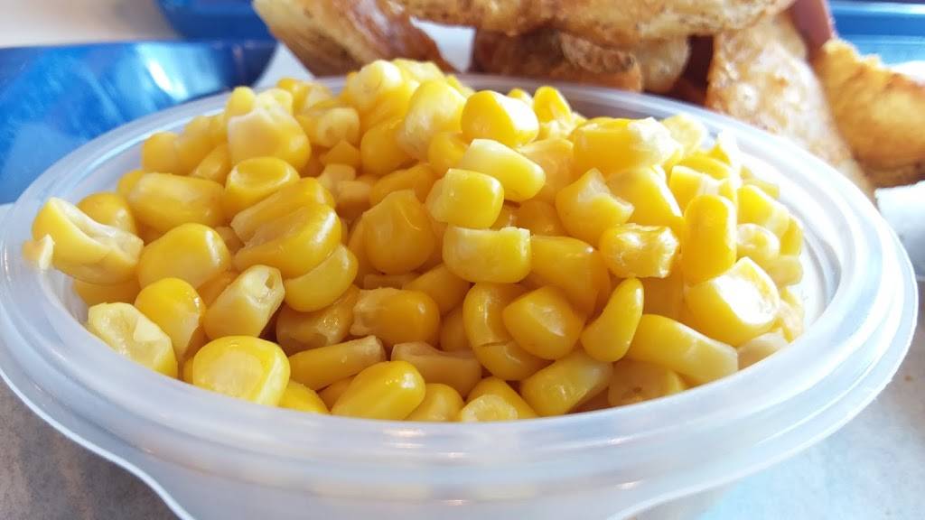 KFC | restaurant | 7605 W Hillsborough Ave, Tampa, FL 33615, USA | 8138844372 OR +1 813-884-4372