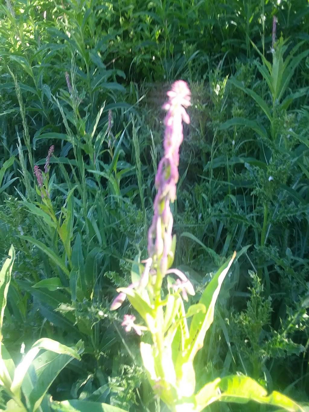 Superior Snacks | meal takeaway | 9320 Cliff Lodge Dr #104, Snowbird, UT 84092, USA | 8019332222 OR +1 801-933-2222