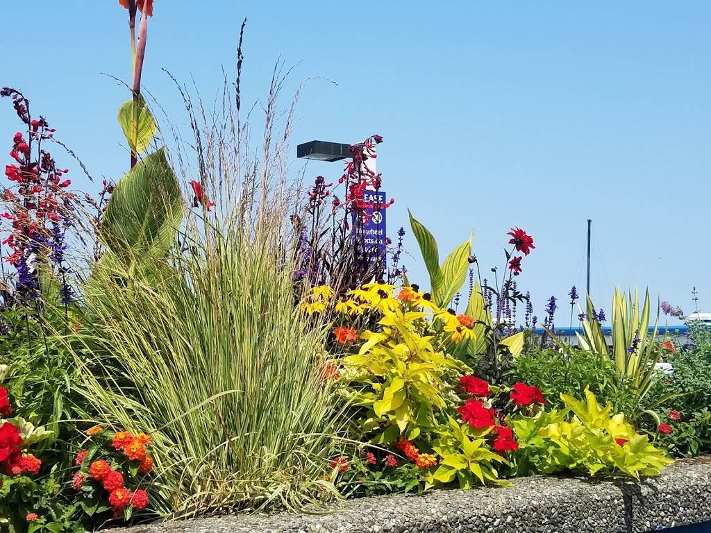 Anthony’s Beach Cafe, | restaurant | 456 Admiral Way, Edmonds, WA 98020, USA | 4257714400 OR +1 425-771-4400