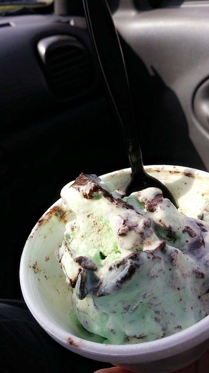 Harlem dairy dream | restaurant | 3480 sreubenville rd se, Carrollton, OH 44615, USA | 3307391020 OR +1 330-739-1020