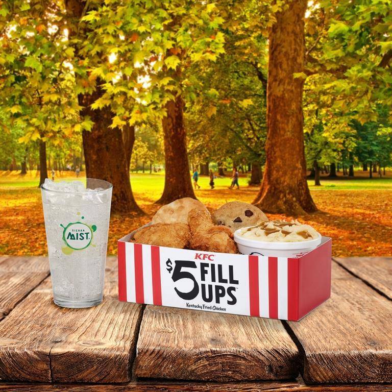 KFC | restaurant | 430 S Broadway Blvd, Salina, KS 67401, USA | 7858250322 OR +1 785-825-0322