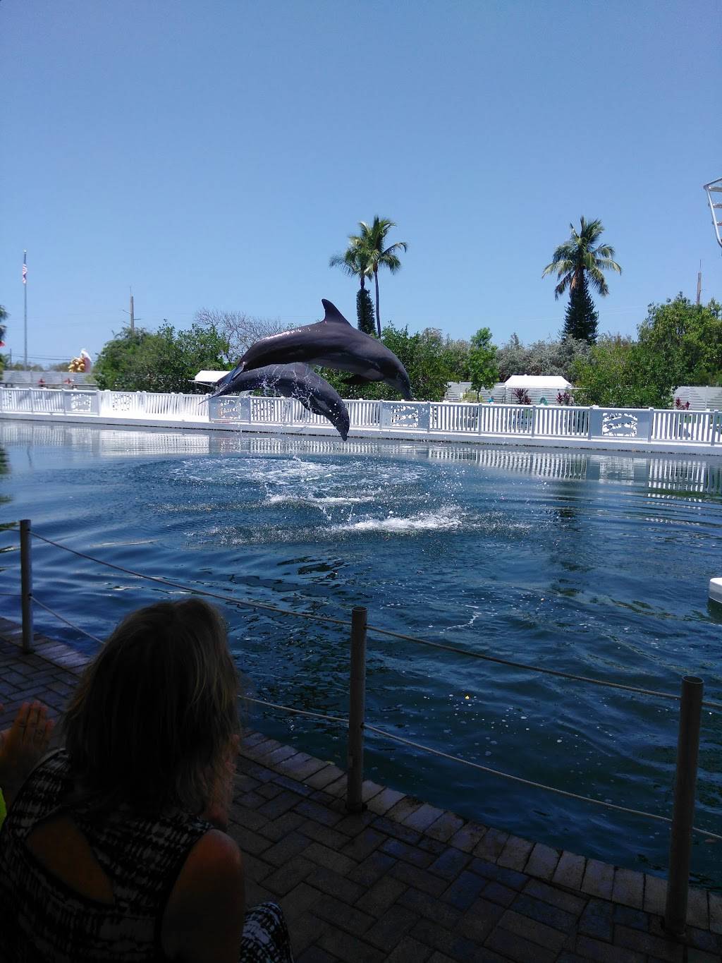 Bistro By the Sea | restaurant | 364 Cards Pond Rd, Wakefield, RI 02879, USA | 4017893030 OR +1 401-789-3030