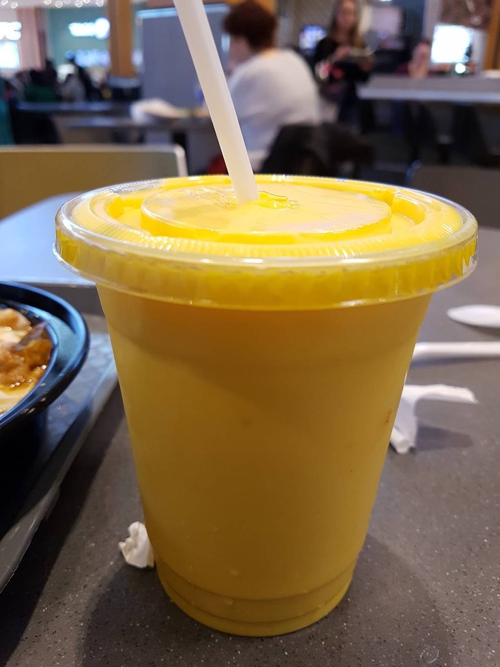 Hurry Curry, The Indian Kitchen Restaurant | restaurant | 3100 Howard Ave, Windsor, ON N8X 3Y4, Canada | 5199668818 OR +1 519-966-8818