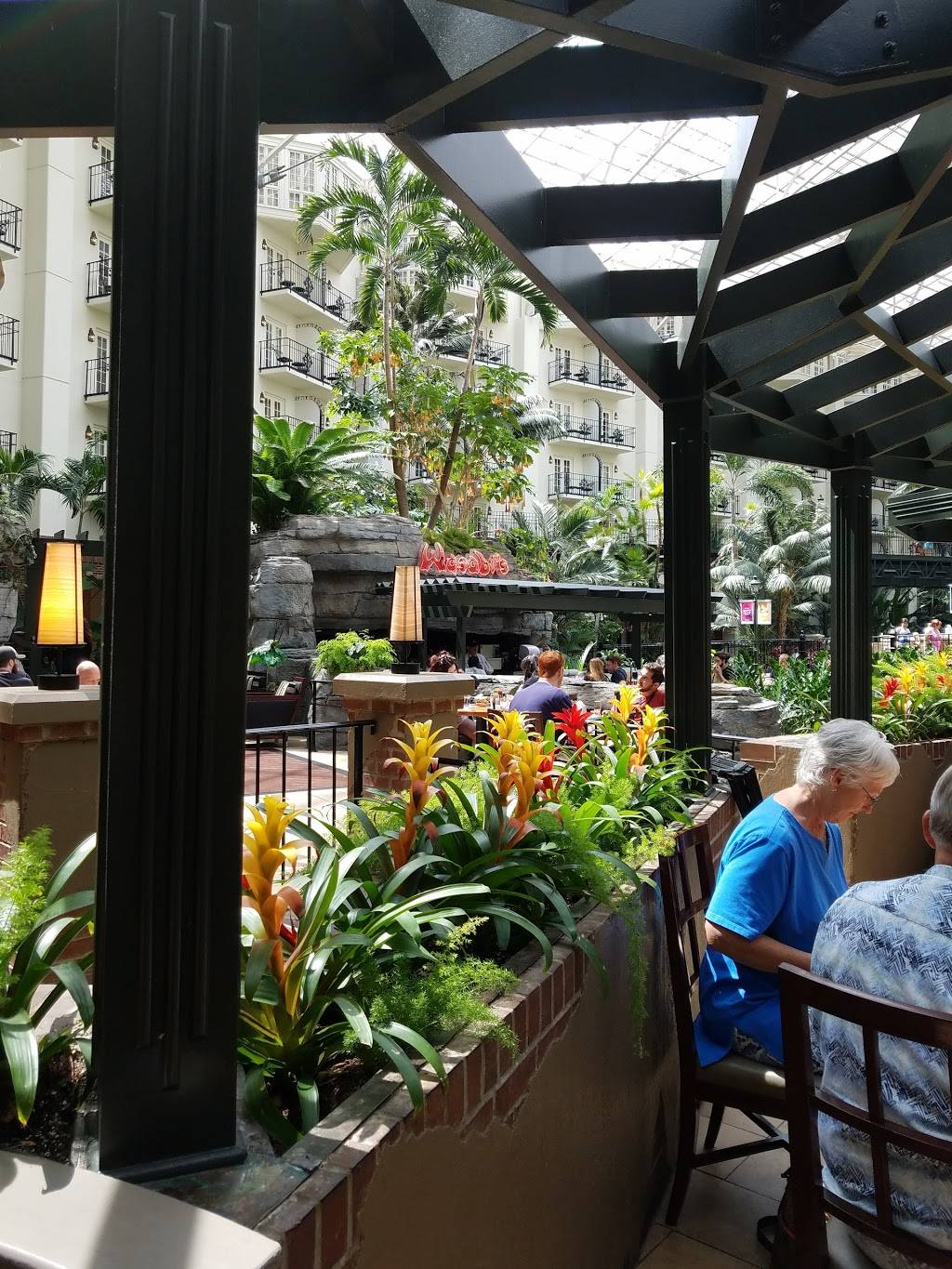 Wasabis Sushi | restaurant | 2800 Opryland Dr, Nashville, TN 37214, USA | 6154586848 OR +1 615-458-6848