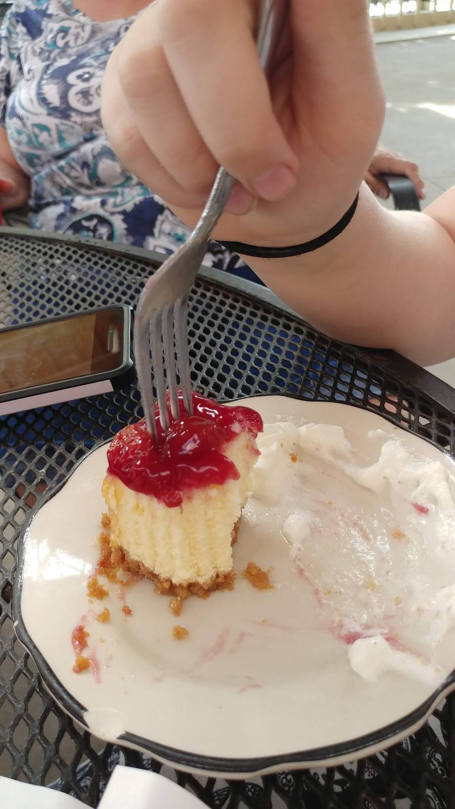 Riverview | restaurant | 928 NY-11C, Brasher Falls, NY 13613, USA | 3153894100 OR +1 315-389-4100