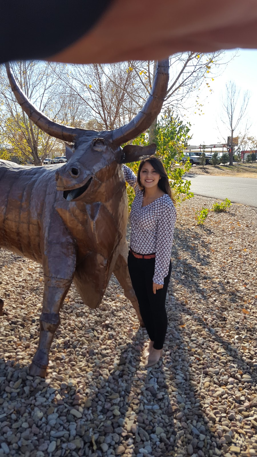 Sonic Drive-In | restaurant | 69 S Dunlap Dr, Pueblo West, CO 81007, USA | 7195477641 OR +1 719-547-7641