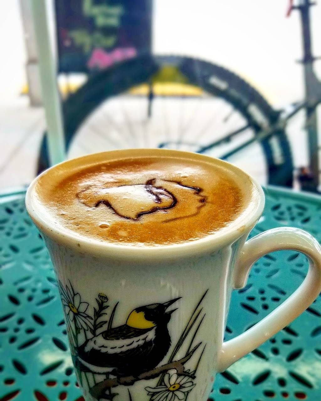 Cycling Solutions Bicycle Shop & La Forêt Café | cafe | 7766 Fruitwood Ln, Newburgh, IN 47630, USA | 8125182720 OR +1 812-518-2720