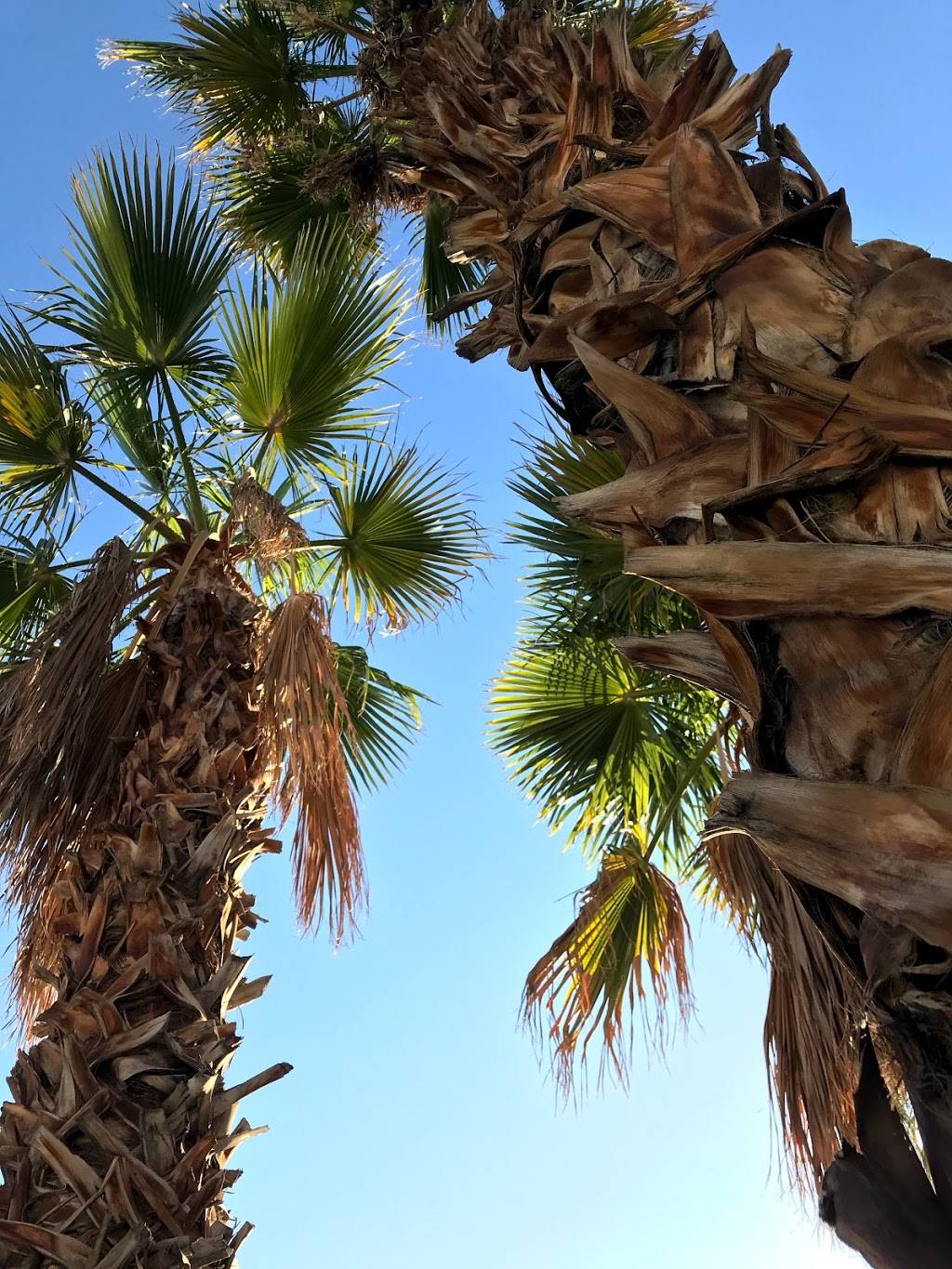 El Ranchito Taco Shop | restaurant | 78540 CA-111 A13, La Quinta, CA 92253, USA | 7605640668 OR +1 760-564-0668