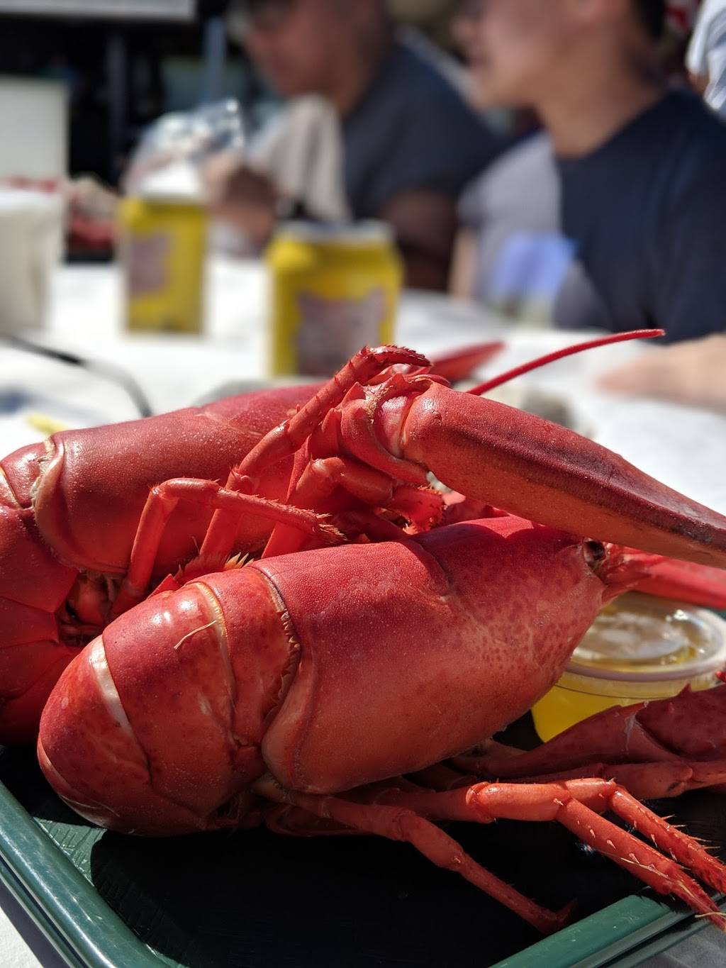 Muscongus Bay Lobster | restaurant | 28 Landing Road, Round Pond, ME 04564, USA | 2075295528 OR +1 207-529-5528