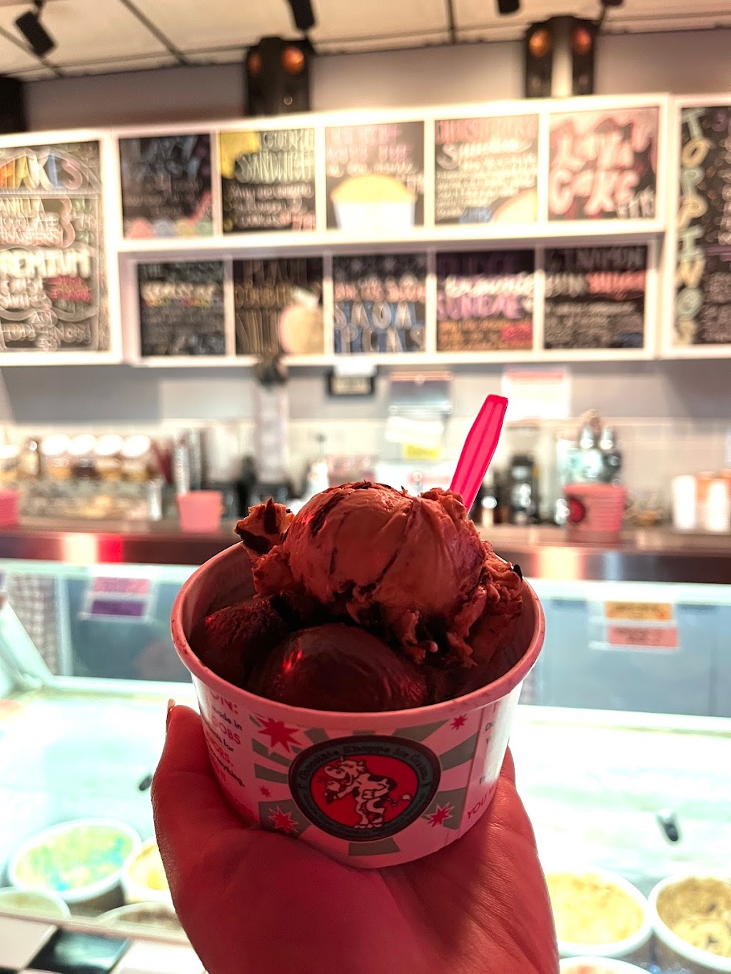 Daisys Ice Cream | restaurant | 807 N Quentin Rd, Palatine, IL 60067, USA | 8474857110 OR +1 847-485-7110