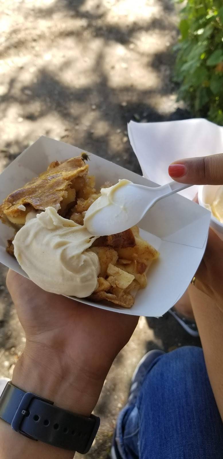 Love Creek Orchards/The Apple Store | bakery | 14024 TX-16 N, Medina, TX 78055, USA | 8302000302 OR +1 830-200-0302