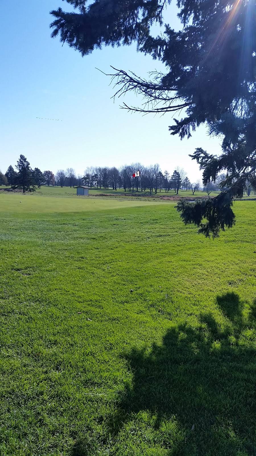 Fox Bend Golf Course | restaurant | 3516 US-34, Oswego, IL 60543, USA | 6305543939 OR +1 630-554-3939