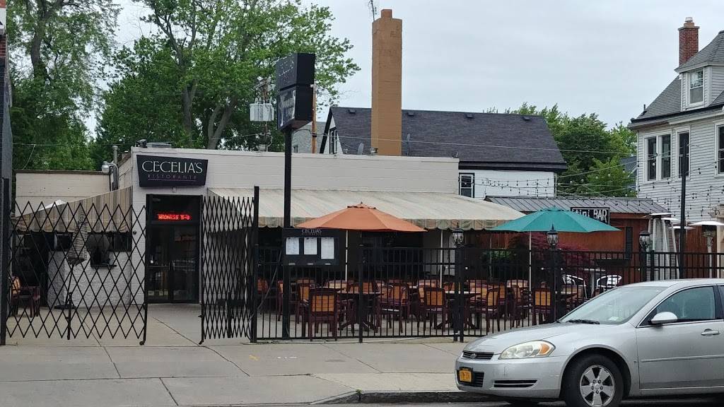 Cecelias Ristorante & Martini Bar | restaurant | 716 Elmwood Ave, Buffalo, NY 14222, USA | 7168838066 OR +1 716-883-8066