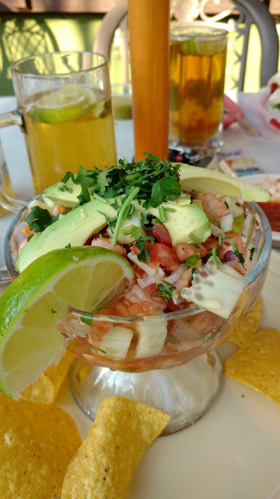 Coyotes Mexican Grill | restaurant | 105 Sycamore Pl, Decatur, GA 30030, USA | 4043739383 OR +1 404-373-9383