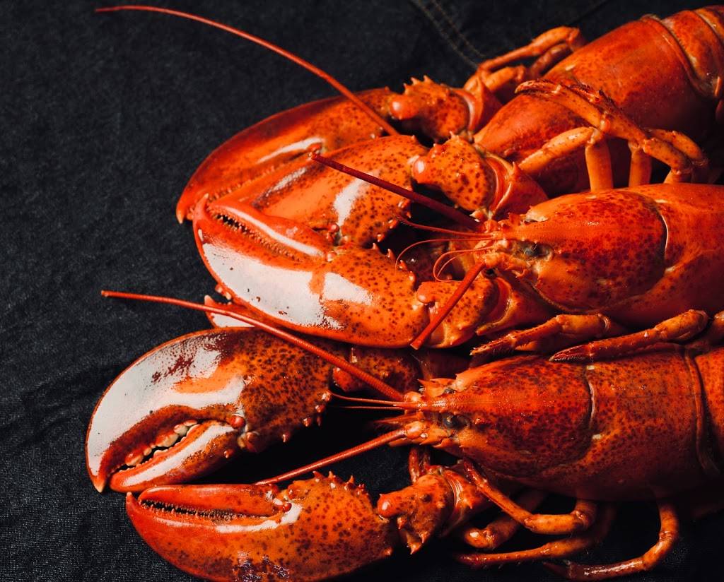 Blind Dog Restaurant & Raw Bar | restaurant | 1251 Kearns Blvd, Park City, UT 84060, USA | 4356550800 OR +1 435-655-0800