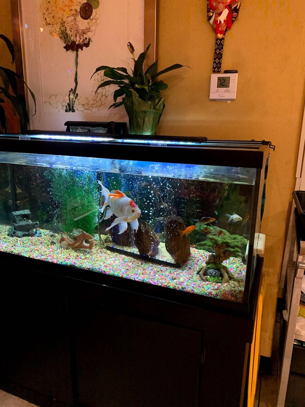 Pho Tam | restaurant | 1771 N 2nd St, El Cajon, CA 92021, USA | 6193282239 OR +1 619-328-2239