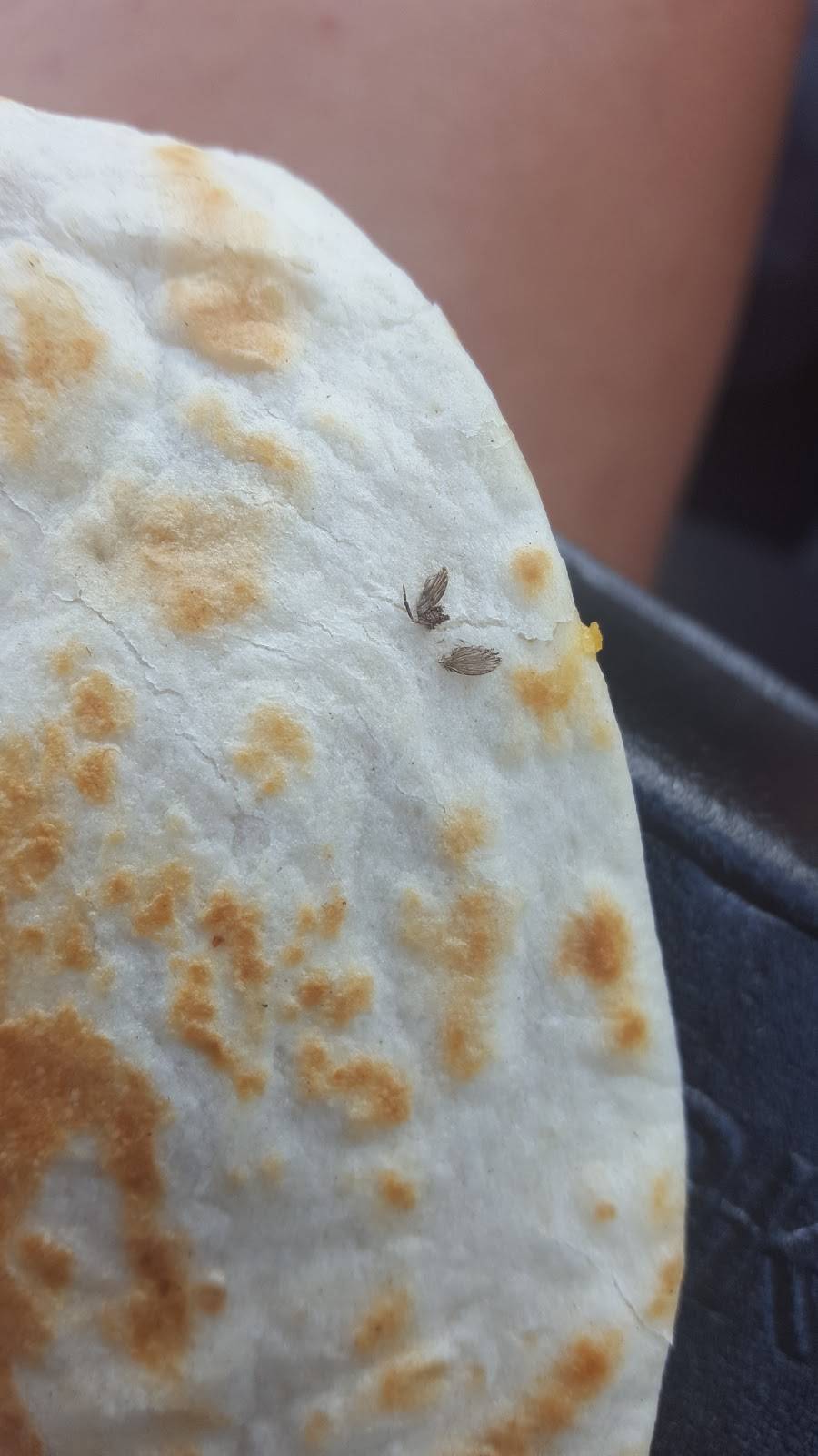 Cook Out | restaurant | 4505 Kester Mill Rd, Winston-Salem, NC 27103, USA | 3367603335 OR +1 336-760-3335