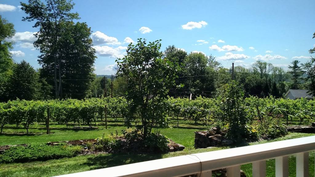 Gilmanton Winery and Restaurant | restaurant | 528 Meadow Pond Rd, Gilmanton, NH 03237, USA | 6032678251 OR +1 603-267-8251