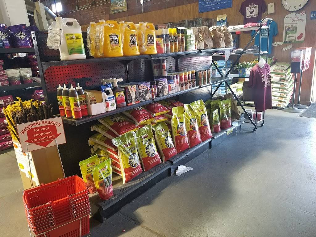 Standard Feed & Seed | restaurant | 1236 Kings Rd, Jacksonville, FL 32204, USA | 9043555575 OR +1 904-355-5575