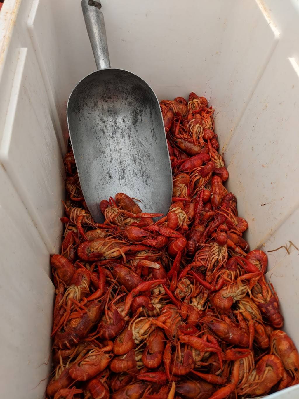 Monster Crawfish | restaurant | 12586 LA-21, Bogalusa, LA 70427, USA | 9853273050 OR +1 985-327-3050