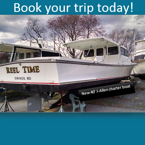 Chesapeake Adventures Sportfishing | restaurant | 3500, 5300 Breezy Point Rd, Chesapeake Beach, MD 20732, USA | 3017583475 OR +1 301-758-3475