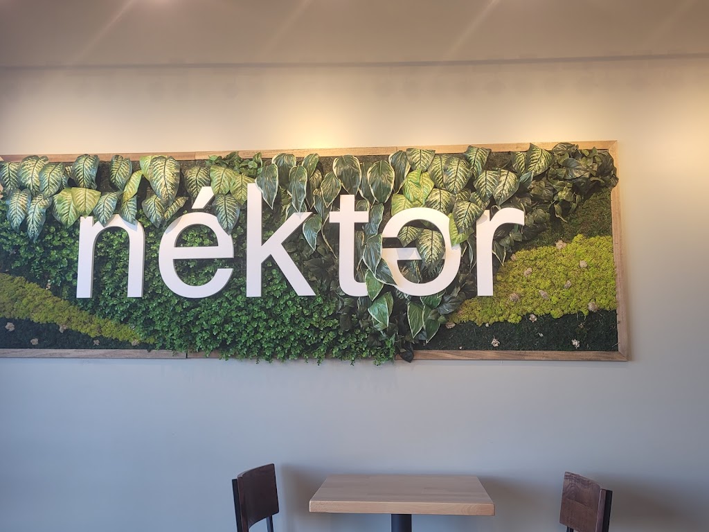 Nekter Juice Bar | cafe | 5866 S Wadsworth Blvd, Littleton, CO 80123, USA | 3039532867 OR +1 303-953-2867