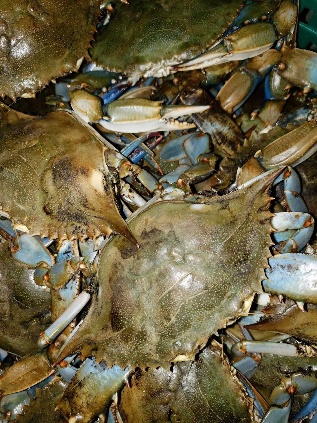 Ebbing tide crab house | restaurant | Located inside the joppa amish market at, 1000 Joppa Farm Rd, Joppa, MD 21085, USA | 4105937720 OR +1 410-593-7720