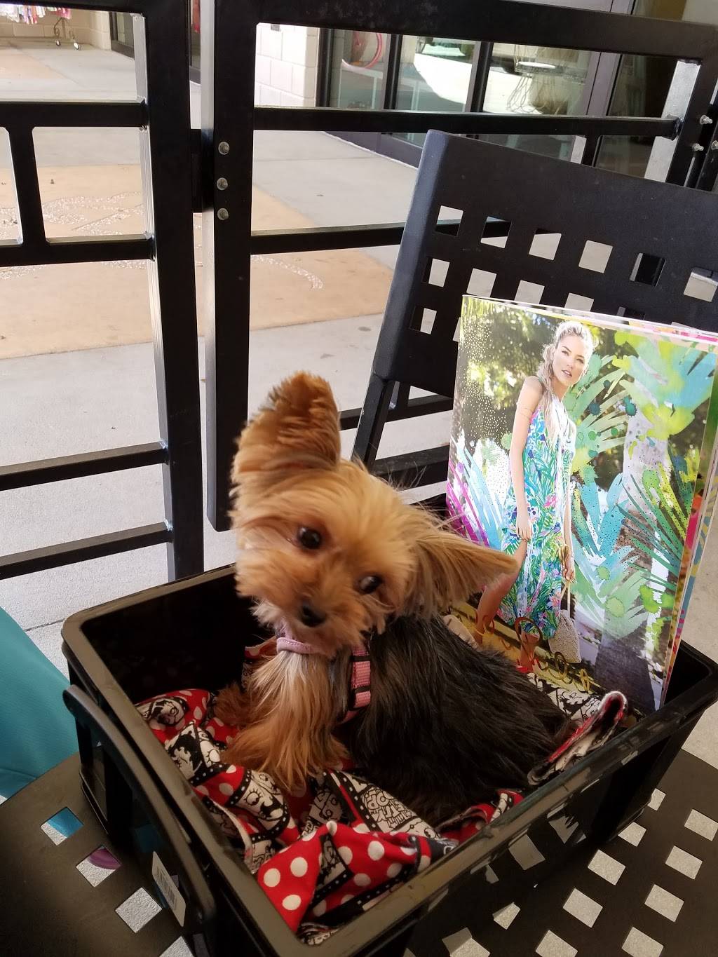 Zoës Kitchen | restaurant | 3730 SW Archer Rd #220, Gainesville, FL 32608, USA | 3523636090 OR +1 352-363-6090