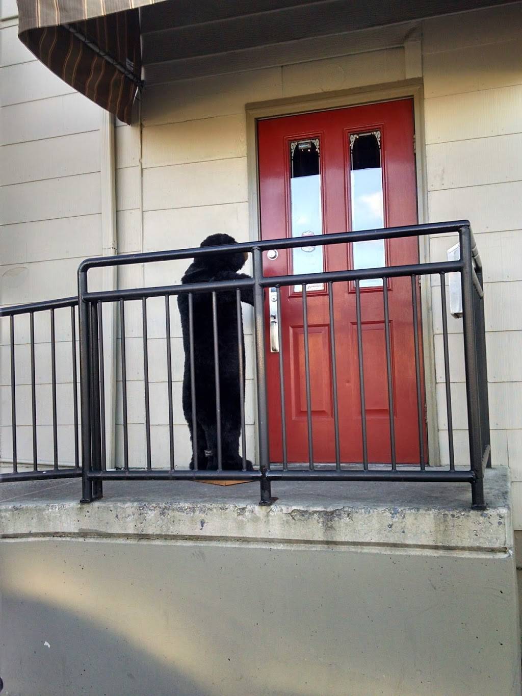 Ringers Roost | restaurant | 1801 Liberty St, Allentown, PA 18104, USA | 6104374941 OR +1 610-437-4941