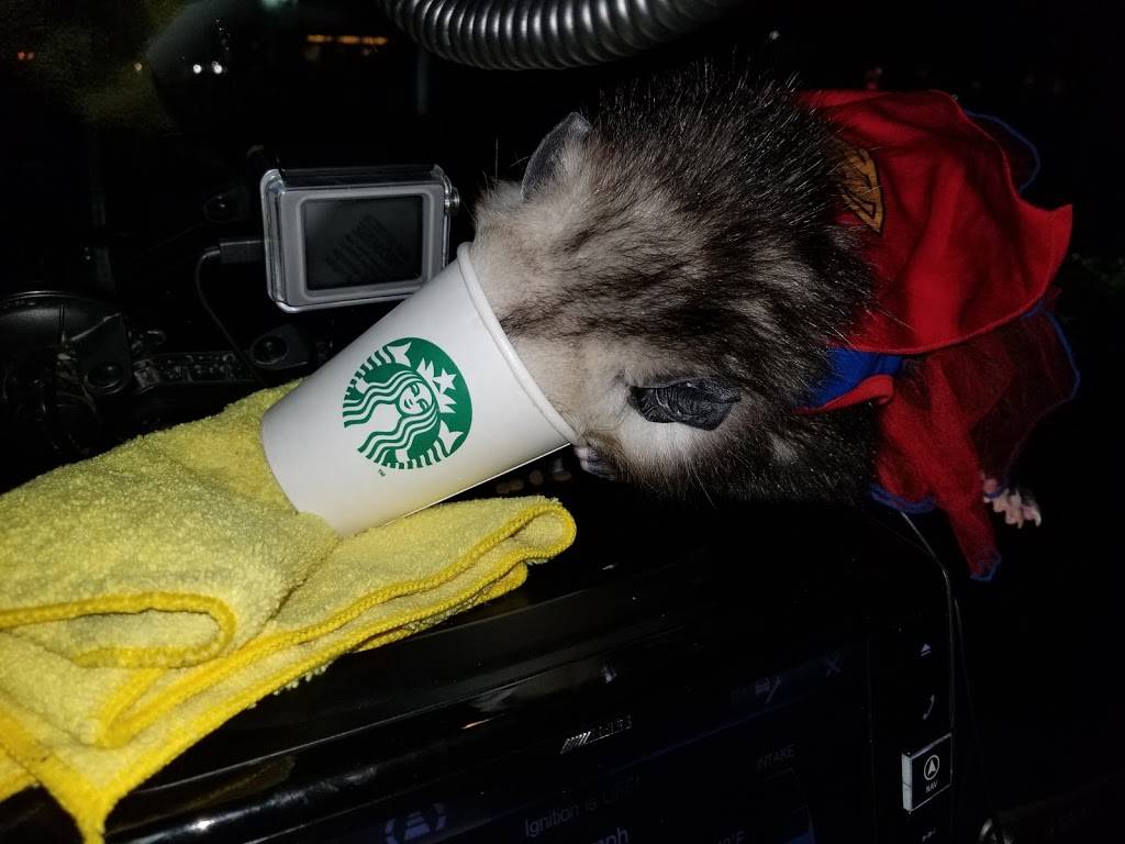 Starbucks | cafe | 8025 Day Creek Blvd, Rancho Cucamonga, CA 91739, USA | 9094630423 OR +1 909-463-0423