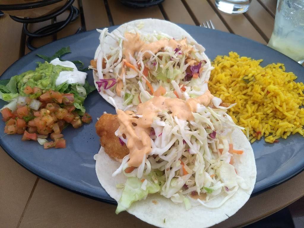 The Spotted Donkey Cantina | restaurant | 34505 N Scottsdale Rd, Scottsdale, AZ 85262, USA | 4804883358 OR +1 480-488-3358