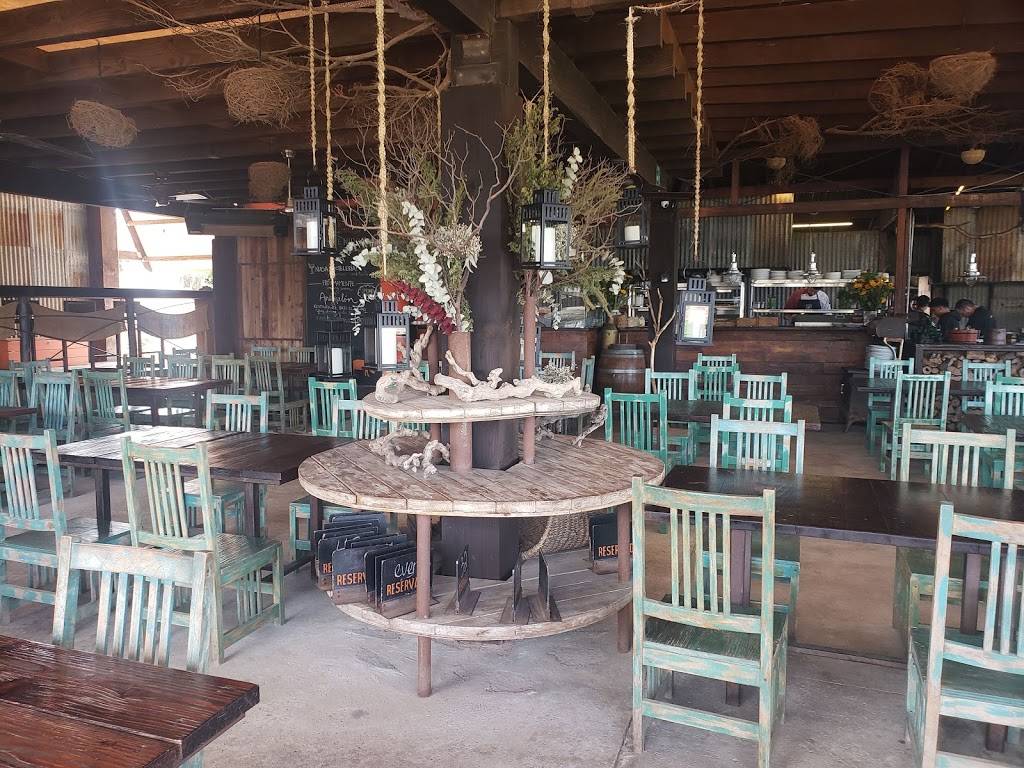 Finca Altozano | restaurant | Carretera Tecate - Ensenada Km 83 Ejido, Francisco Zarco, 22750 Valle de Guadalupe, B.C., Mexico | 016461568045 OR +52 646 156 8045