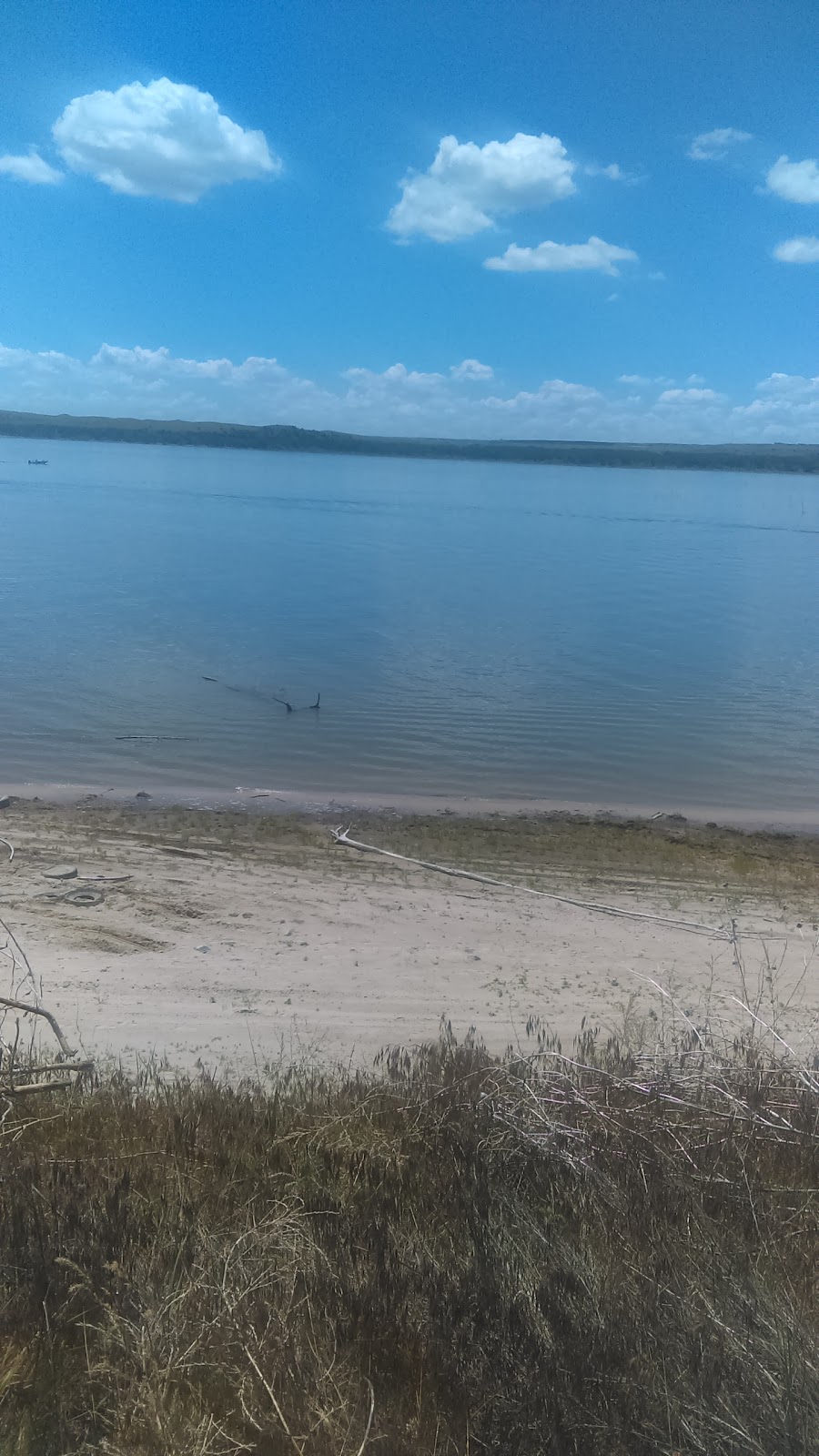 Marina Landing | restaurant | 5051 Albees, Lewellen, NE 69147, USA | 3083553535 OR +1 308-355-3535