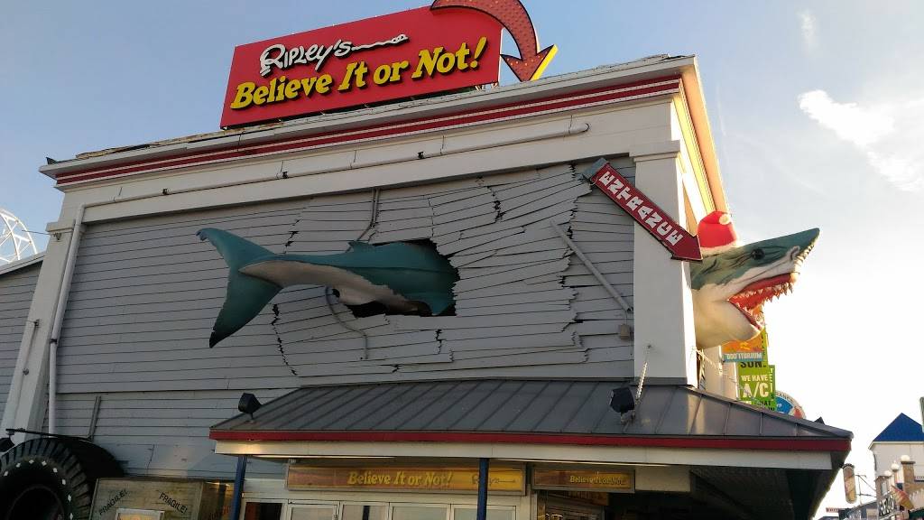 Harrisons Harbor Watch | restaurant | 5915, 806 S Atlantic Ave, Ocean City, MD 21842, USA | 4102895121 OR +1 410-289-5121