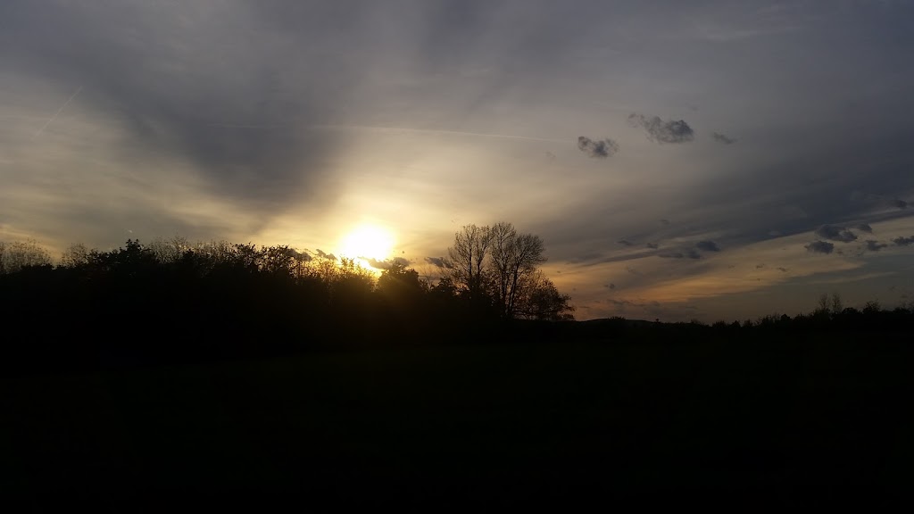 Fogg Brook Resort | restaurant | 147 Lang Hill Rd, Palmyra, ME 04965, USA | 2073555515 OR +1 207-355-5515